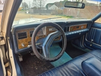 1979 Ford Granada for sale in Michigan (ID-164138)
