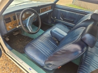 1979 Ford Granada for sale in Michigan (ID-164138)