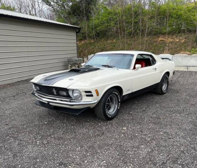1979 Ford Mustang for sale in Michigan (ID-98584)