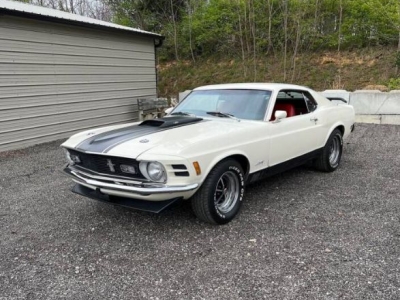 1979 Ford Mustang for sale