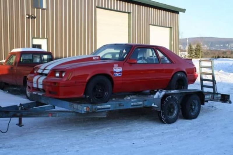 1979 Ford Mustang for sale in Michigan (ID-118643)