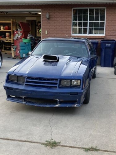 1979 Ford Mustang for sale in Michigan (ID-120191)