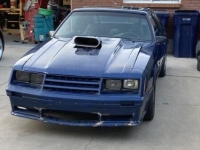 1979 Ford Mustang for sale in Michigan (ID-120191)