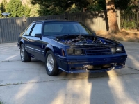 1979 Ford Mustang for sale in Michigan (ID-120191)