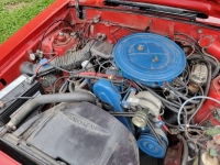 1979 Ford Mustang for sale in Michigan (ID-120582)