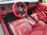1979 Ford Mustang for sale in Michigan (ID-120582)
