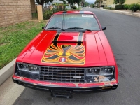 1979 Ford Mustang for sale in Michigan (ID-120582)