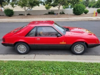 1979 Ford Mustang for sale in Michigan (ID-120582)