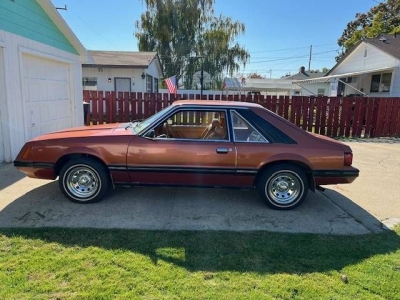 1979 Ford Mustang for sale