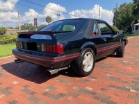 1979 Ford Mustang for sale in Michigan (ID-124063)