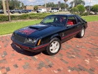 1979 Ford Mustang for sale in Michigan (ID-124063)