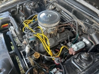 1979 Ford Mustang for sale in Michigan (ID-124063)