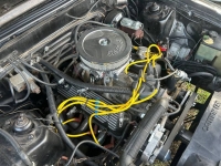 1979 Ford Mustang for sale in Michigan (ID-124063)