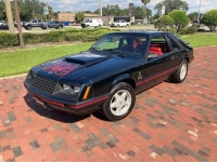 1979 Ford Mustang for sale in Michigan (ID-127389)