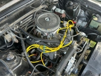 1979 Ford Mustang for sale in Michigan (ID-127389)