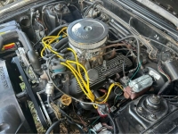 1979 Ford Mustang for sale in Michigan (ID-127389)