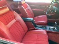 1979 Ford Mustang for sale in Michigan (ID-127389)