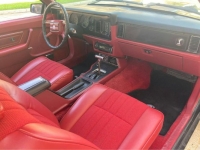 1979 Ford Mustang for sale in Michigan (ID-127389)