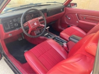 1979 Ford Mustang for sale in Michigan (ID-127389)