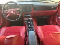 1979 Ford Mustang for sale in Michigan (ID-127389)