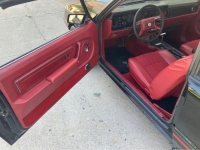 1979 Ford Mustang for sale in Michigan (ID-127389)