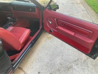 1979 Ford Mustang for sale in Michigan (ID-127389)