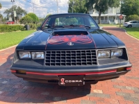 1979 Ford Mustang for sale in Michigan (ID-127389)