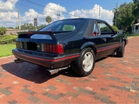 1979 Ford Mustang for sale in Michigan (ID-127389)