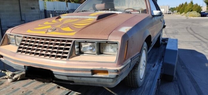 1979 Ford Mustang for sale in Michigan (ID-136015) 1979 Ford Mustang for sale in Michigan (ID-136015)