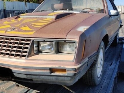 1979 Ford Mustang for sale