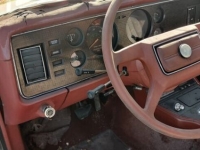 1979 Ford Mustang for sale in Michigan (ID-136015)
