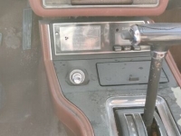 1979 Ford Mustang for sale in Michigan (ID-136015)