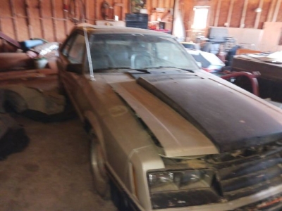 1979 Ford Mustang for sale