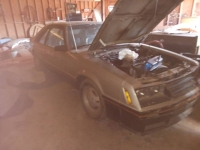 1979 Ford Mustang for sale in Michigan (ID-140856)