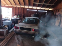 1979 Ford Mustang for sale in Michigan (ID-140856)