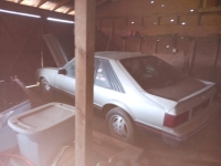 1979 Ford Mustang for sale in Michigan (ID-140856)