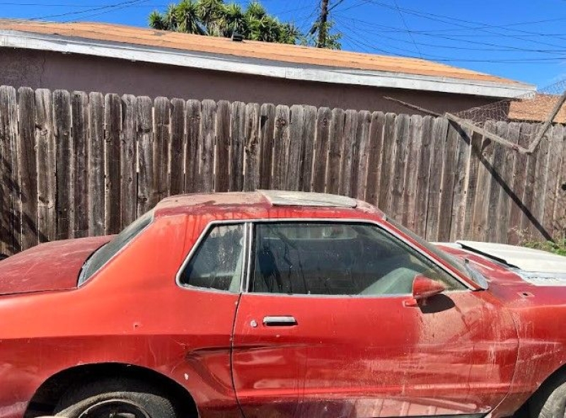 1979 Ford Mustang for sale in Michigan (ID-145682)