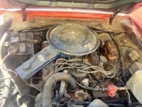 1979 Ford Mustang for sale in Michigan (ID-145682)