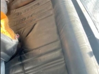 1979 Ford Mustang for sale in Michigan (ID-145682)