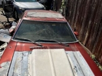 1979 Ford Mustang for sale in Michigan (ID-145682)