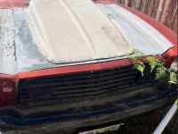 1979 Ford Mustang for sale in Michigan (ID-145682)