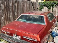 1979 Ford Mustang for sale in Michigan (ID-145682)