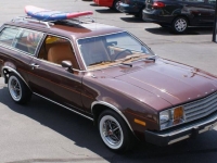 1979 Ford Pinto for sale in Michigan (ID-113011)
