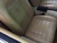 1979 Ford Pinto for sale in Michigan (ID-113011)
