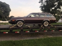 1979 Ford Pinto for sale in Michigan (ID-113011)