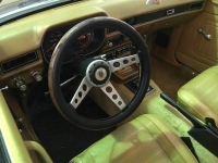 1979 Ford Pinto for sale in Michigan (ID-113011)