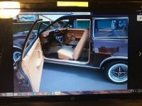 1979 Ford Pinto for sale in Michigan (ID-113011)