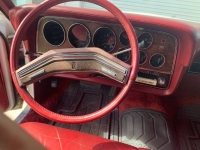 1979 Ford Ranchero for sale in Michigan (ID-96370)