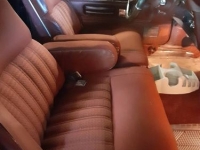 1979 Ford Ranchero for sale in Michigan (ID-100463)