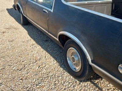 1979 Ford Ranchero for sale